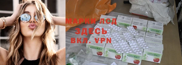 ПСИЛОЦИБИНОВЫЕ ГРИБЫ Заволжье