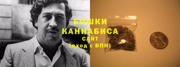 ПСИЛОЦИБИНОВЫЕ ГРИБЫ Заволжье