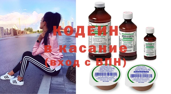 ПСИЛОЦИБИНОВЫЕ ГРИБЫ Заволжье