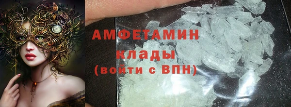 ПСИЛОЦИБИНОВЫЕ ГРИБЫ Заволжье