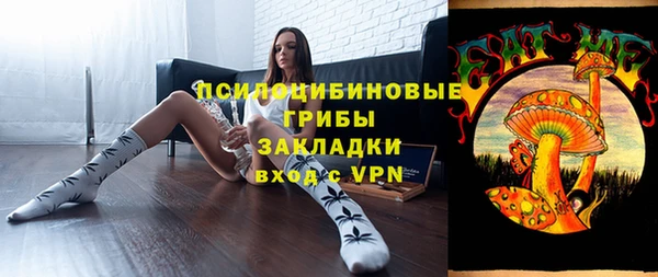 ПСИЛОЦИБИНОВЫЕ ГРИБЫ Заволжье