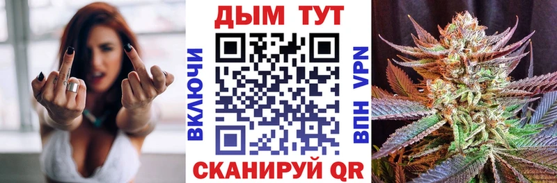 Каннабис сатива  Купить закладки  Кандалакша 
